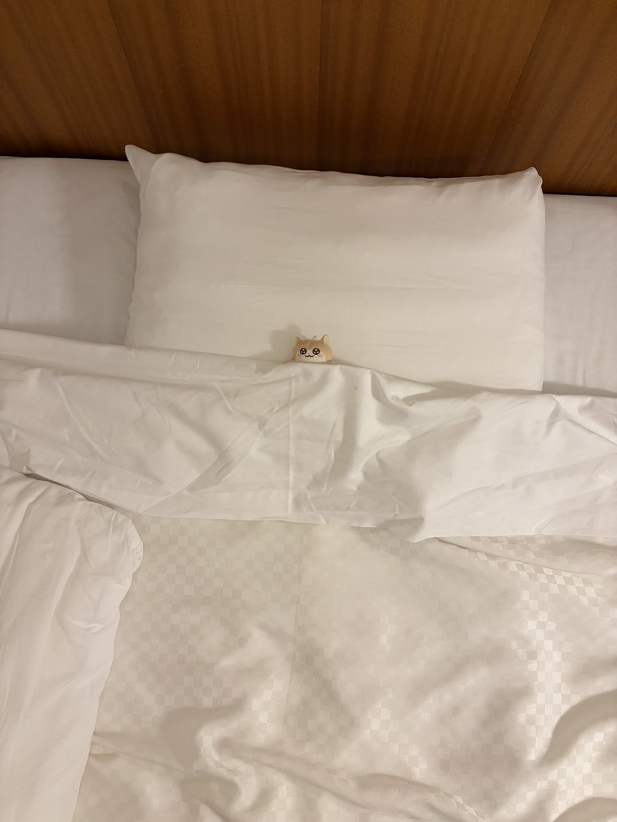 cobitan_o0's tweet photo. デザインの50%は余白で出来ていると言われている。 https://t.co/ITbOBiWYHo