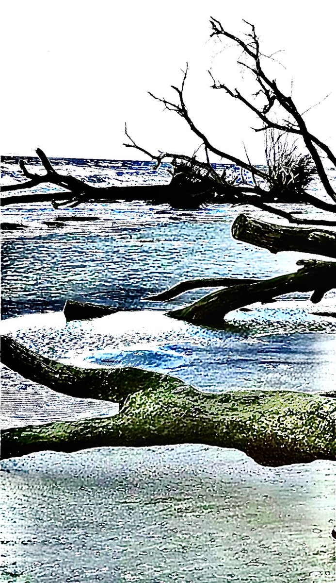 VelvetLensjbs's tweet photo. Memory of Water, Weight of Wood 
#ArtPhotography #Photography #Nature https://t.co/7Gt05xBpn6