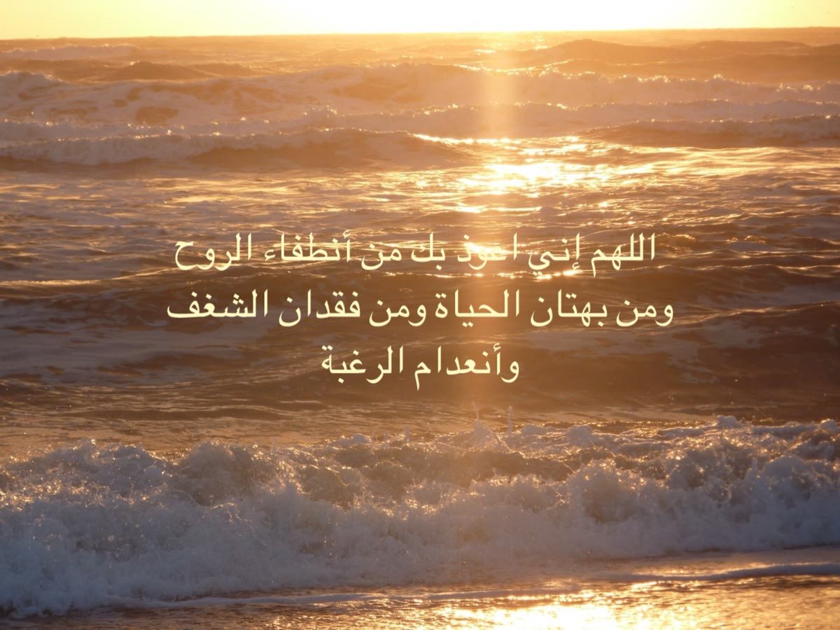 _Alfar00Q's tweet photo. https://t.co/tnhBpMpO7S