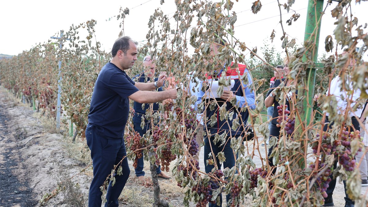 EdirneTrm's tweet photo. 📍Kuzucu ve Şerbettar köylerimizde henüz nedeni belirlenemeyen sebepten meydana gelen yangın sonucunda tarım arazileri, bağ ve meyve bahçeleri ile çeşitli tarımsal alanlarda zarar meydana geldi.
👇👇
https://t.co/MjxbXd5sYJ
@TCTarim https://t.co/torhjbPoqo