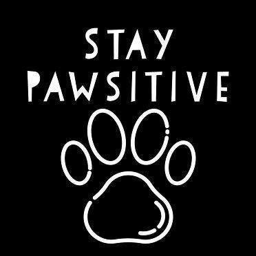 StargirlJaun's tweet photo. Stay Pawsitive #zoophilia #beastiality #zoo https://t.co/jG9Oigjk1w