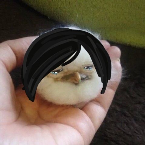 birdballsol's tweet photo. simple, but real degens love it.

ball. https://t.co/o26RW2mVvO