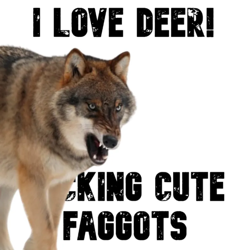 deertexting's tweet photo. https://t.co/8fLXtE6QW2