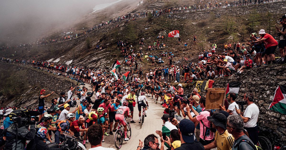 NairoInGreen's tweet photo. and yet her majesty the Stelvio and the glorious Finestre aura clears https://t.co/Ue0gRfFv5A