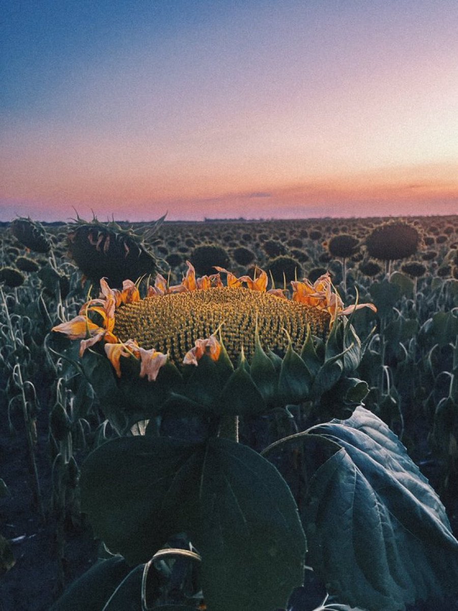 living_in_ua's tweet photo. https://t.co/zy1cfSwxOc