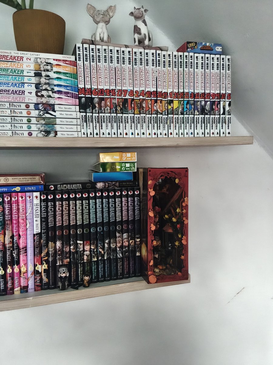 TeaToruu_'s tweet photo. Dude. I moved my #manga , so Its all on the one wall, I didn't realized that I had so many of it. I have like 5more random ones I just decided to place on the shelf with the rest of the books I own. I have some MHA and tbhk manga left to buy so the collection is complicated https://t.co/tI63u003YD
