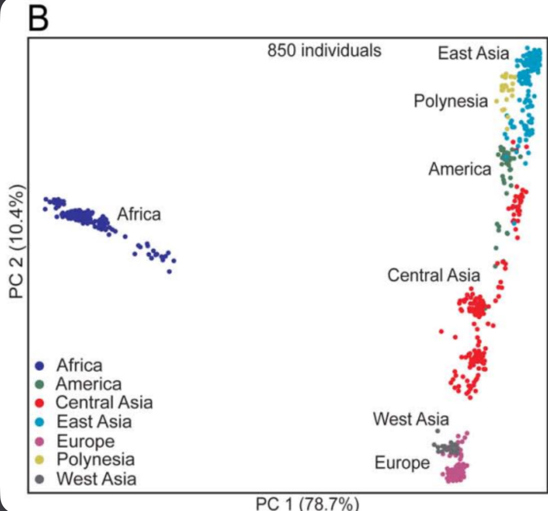 Iehdudn's tweet photo. @Donthurtemeli @hologeist @DeAndraBb1 @TheOnlyDSC @mattvanswol Sub saharans just have different ancestry compared to other races, not saying non blacks are superior to blacks but blacks are much different genetically than the rest of the world, every single genetic graph shows this https://t.co/I629GUHoER