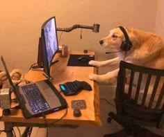rppmario's tweet photo. trabalho remoto bão d+ tá todo mundo mutado no zoom e eu jogando roblox com nicolly, morte ao presencial https://t.co/FgHyfI92qF