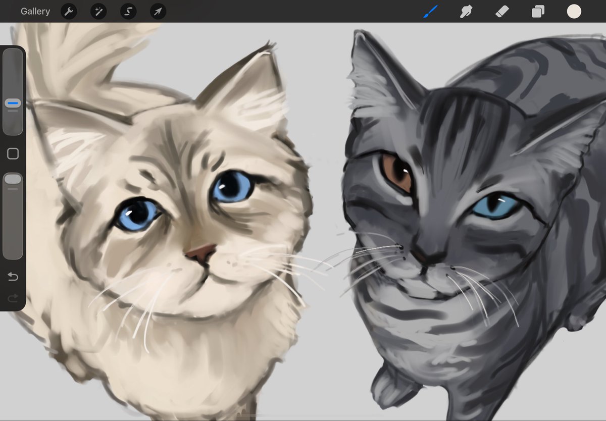 kamuysh's tweet photo. #richlyn as cats ( ´ ω ` ) https://t.co/KiFapFLVeJ