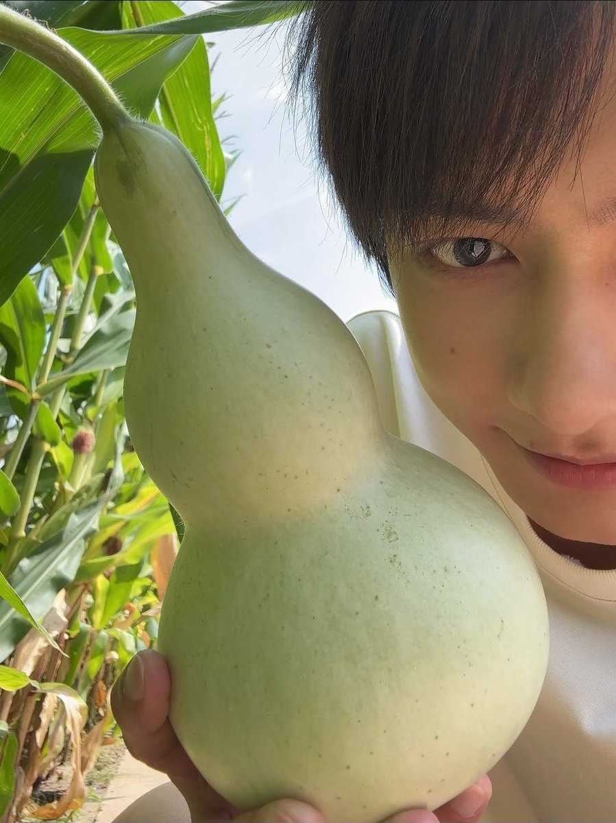 moonjunxui's tweet photo. do you know what this is? https://t.co/bGcmX4yhpZ