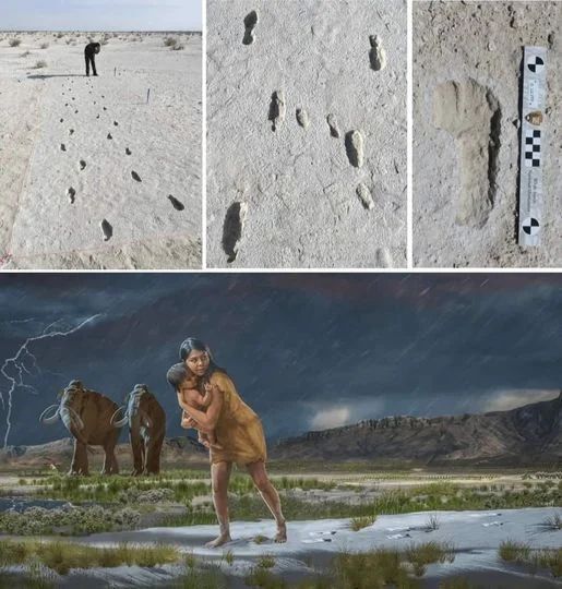 fasc1nate's tweet photo. About 22,000 to 23,000 years ago, an individual, most probably a young woman, undertook two perilous journeys separated by several hours, carrying a toddler at least once.

It all happened at Lake Otero, a large Ice Age lake, the shore of which was teeming with wildlife such as mammoths, ground sloths, camels, dire wolves, American lions, and other extinct megafauna.

The trail they left behind, located in present-day White Sands National Park in New Mexico, spans 1.5 km and comprises over 400 human footprints, giving the oldest evidence of human presence in the Americas and reshaping our understanding of when the first humans arrived there.

Look at more amazing historical photos: https://t.co/dQjceOPkrz