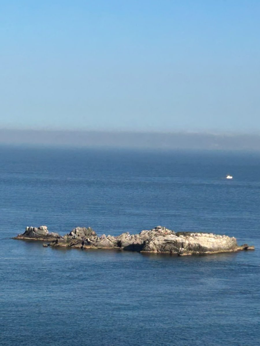 backmanmi's tweet photo. @EvaVlaar The view from where we are spending the evening. In the distance Ceuta. We are in Spain. That rock is full of invaders who were just brought ashore by spanish ”rescue”. I have it on video. https://t.co/h0LjPnLekp