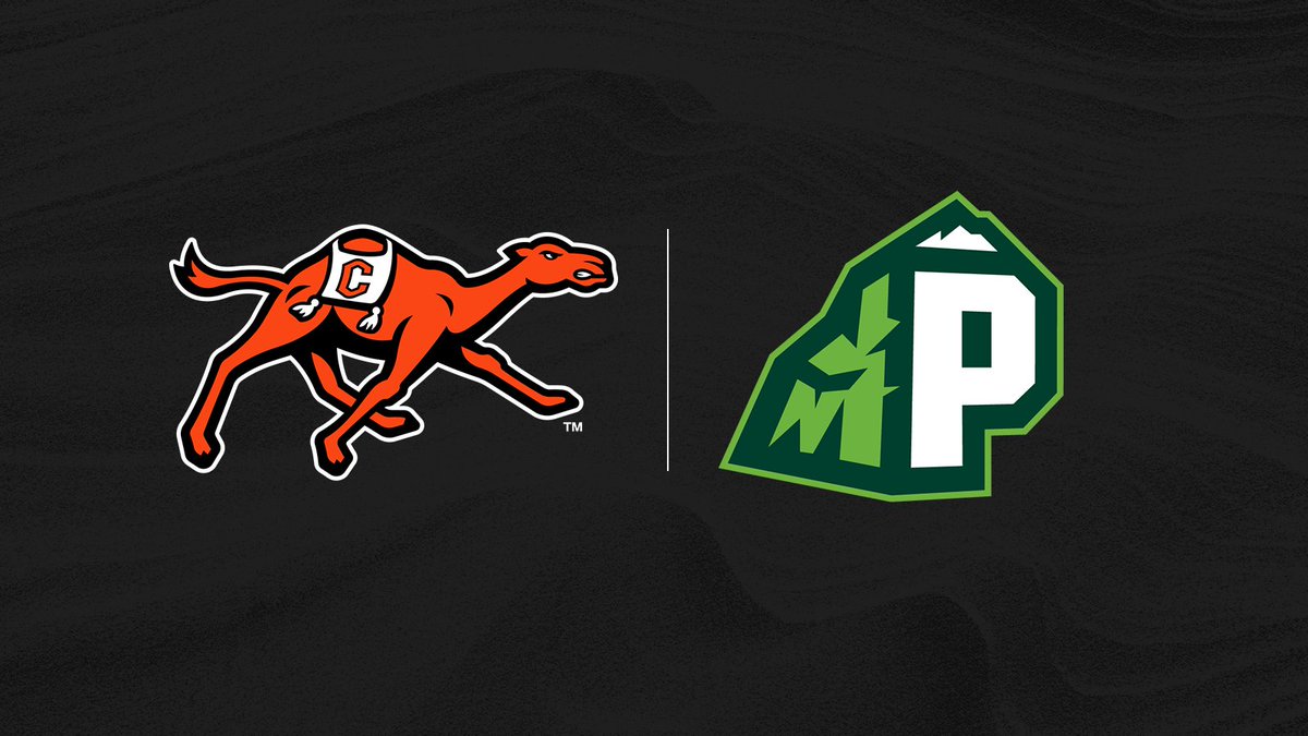 GoCamels's tweet photo. We are pleased to announce our partnership with @PeakSportsMGMT to enhance corporate partnership, ticket sales and ticket service operations!

Details ⤵️
https://t.co/EMot4OBBWI

#FightAsONE | #RollHumps 🐪 https://t.co/cI4hGfiPZt