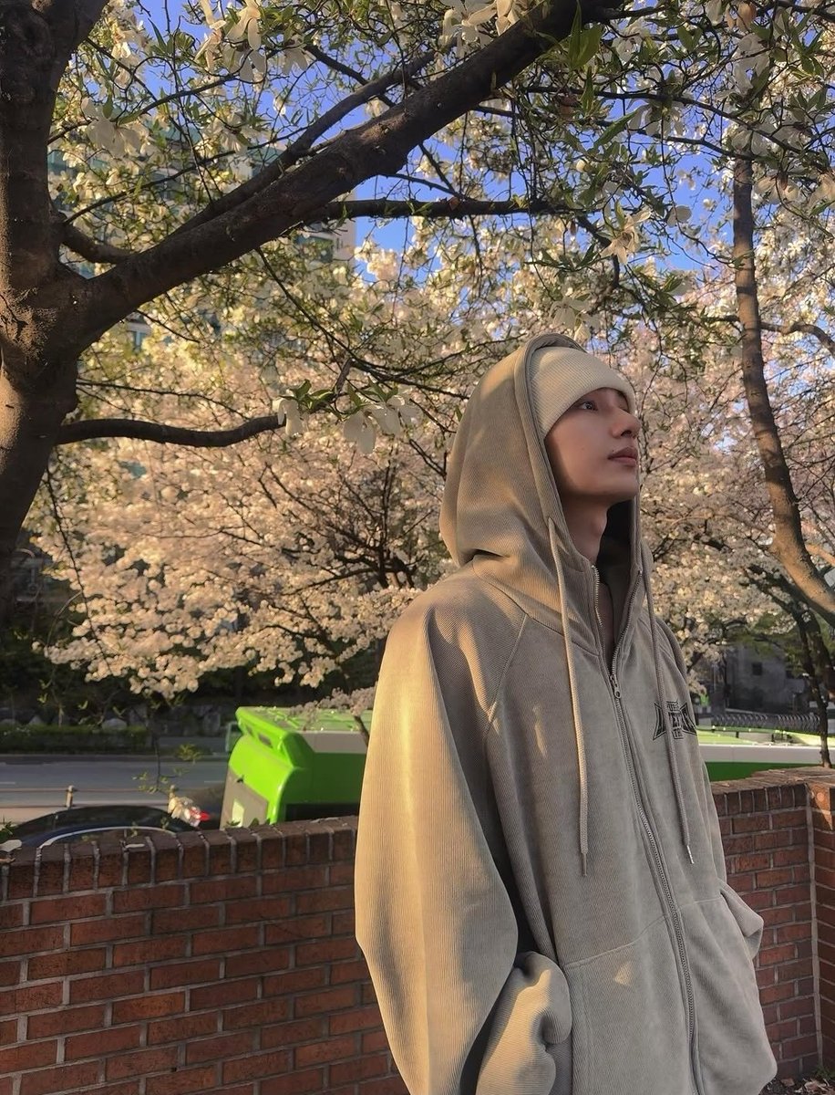 moonjunxui's tweet photo. enjoying the beauty of cherry blossoms. 🌸 https://t.co/m8wdwtvgGK