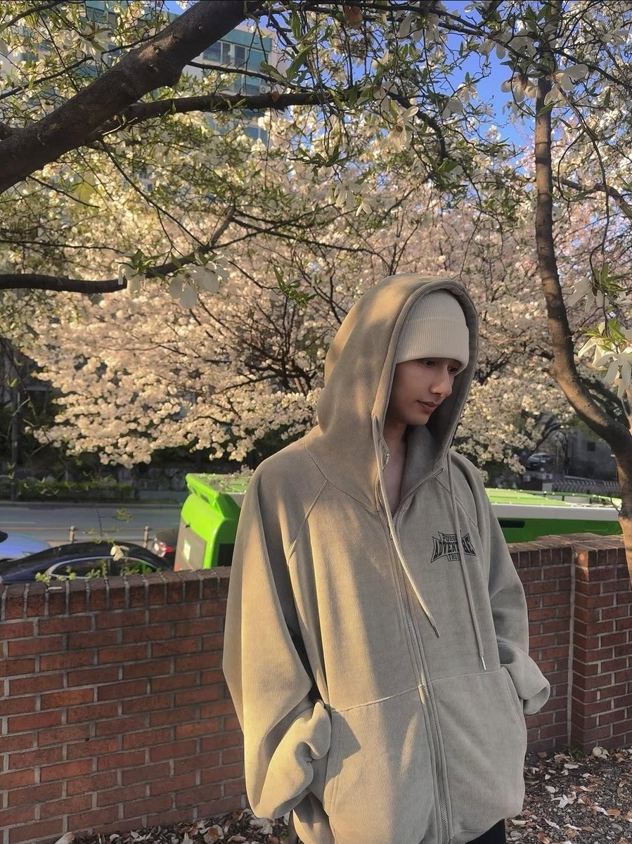 moonjunxui's tweet photo. enjoying the beauty of cherry blossoms. 🌸 https://t.co/m8wdwtvgGK