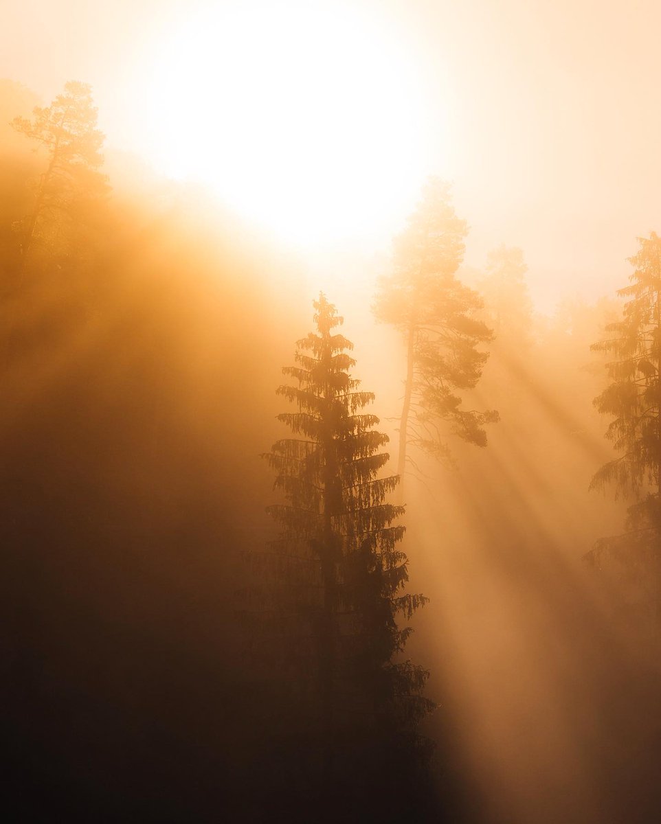 JaeLeadley's tweet photo. we are simple people, we see sunrays, we stop the car, sometimes there's screaming involved https://t.co/nYriUbs4HO
