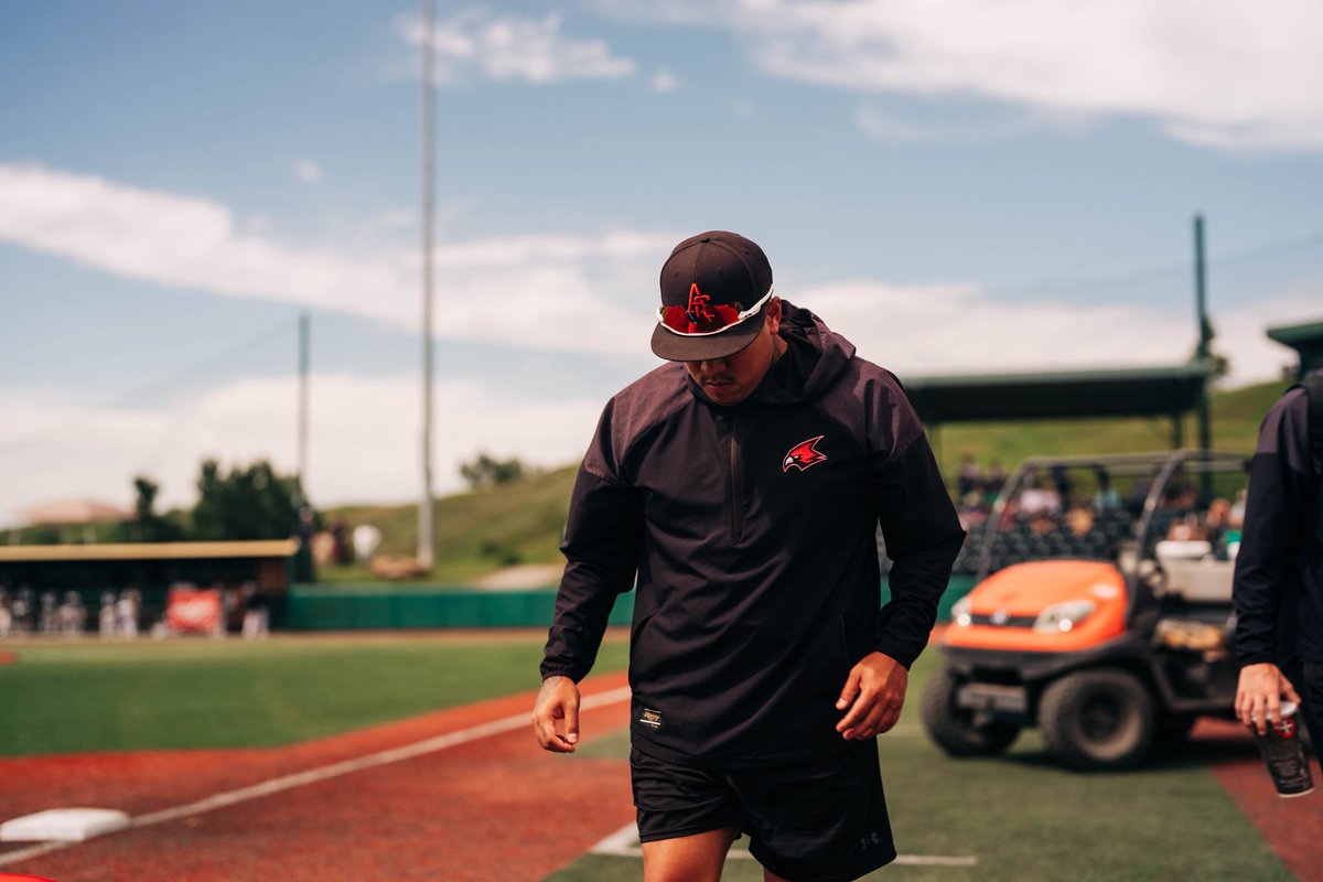max_ishikawa's tweet photo. Forever grateful and forever thankful for Year 2 🇨🇦
Job. Finished.
@AbbyCardinals | #NestProtected https://t.co/OoVwAE233W