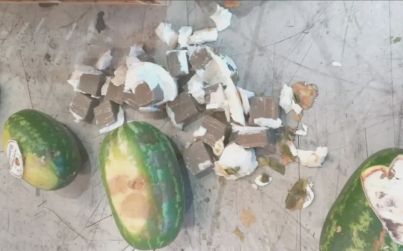 WorldCrimeIntel's tweet photo. Morocco: Border police and customs officers intercepted 350 kg of cannabis resin hidden in a shipment of watermelons at the Tanger Med port, using a tractor-trailer registered for international transport. https://t.co/itOwaK7lQi