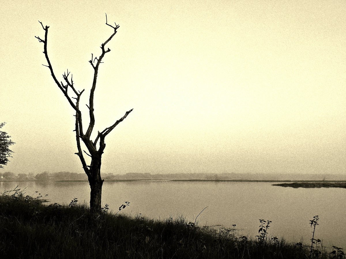 anand_hr's tweet photo. Vintage https://t.co/FdyZhZDmrT