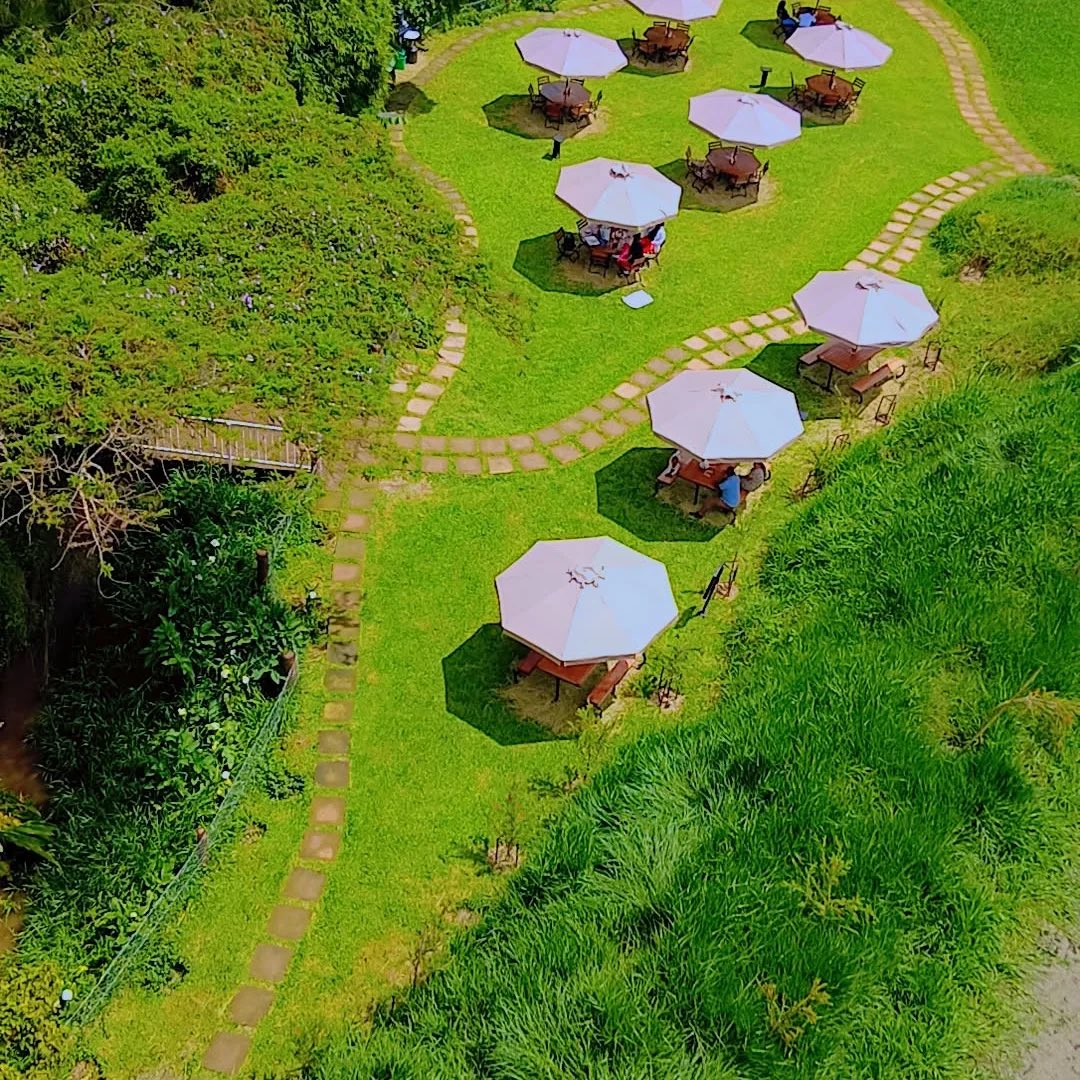 polo_kimanii's tweet photo. Sometime back here in Tigoni I ordered kuku kienyeji and mukimo,kidogo nimezubaa namna hii mwewe ikapita na kuku nusu bwana. You dont even see it coming,unaskia tu Sha! Very dangerous place to go with a woman. Ile kitu inapita kama missle bwana. Nikama vietnam! Siet! https://t.co/rtFG4ujtOW
