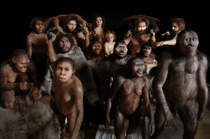 DavidUllrich202's tweet photo. The 85-million-year timeline of human evolution

Combining archaeological evidence with ancient DNA and data on past climates shows us how long and winding the story of human evolution is, stretching back millions of years to when the first primates arose

https://t.co/OnzVuaEfGt

https://t.co/k7Iit2wa9b