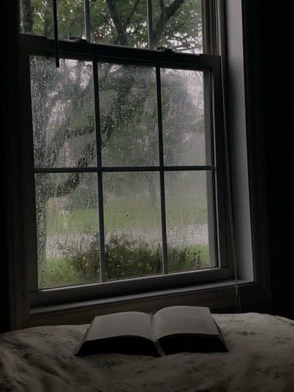 spooky_nature's tweet photo. reading a book while its raining >>> https://t.co/l8VKoXSIpF