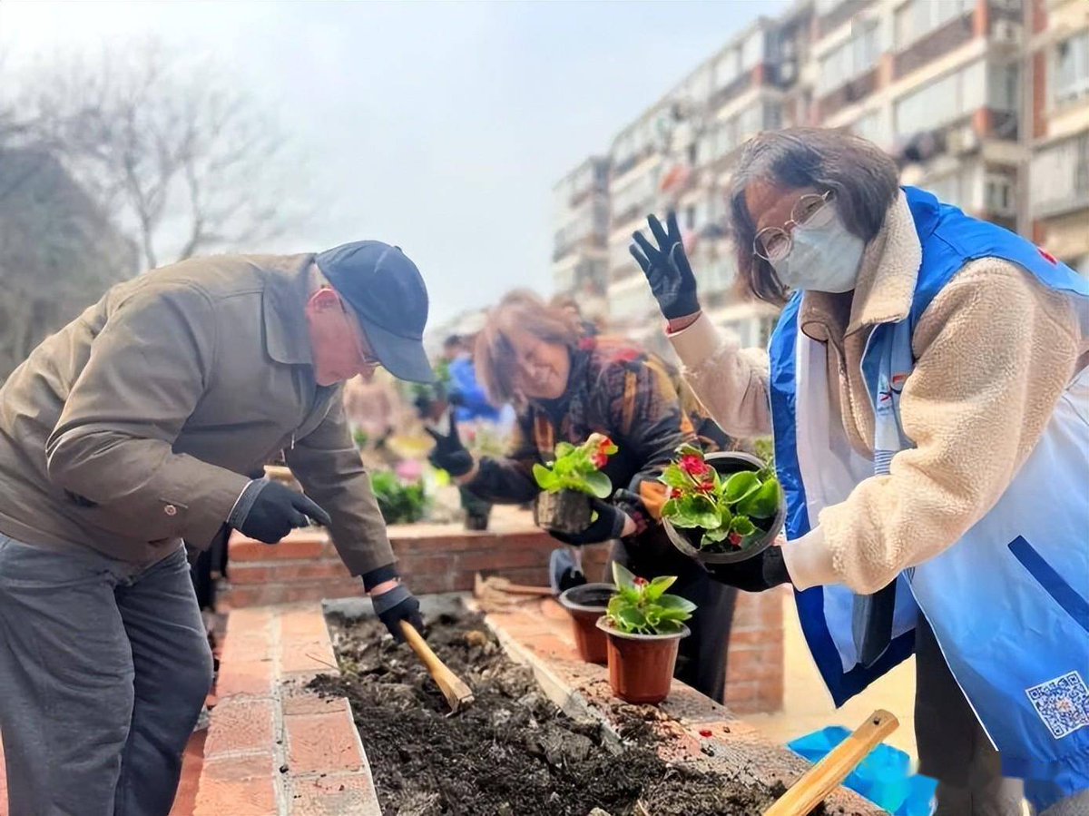 Parede99725736's tweet photo. Join our community garden day this Sat 9am at Green Square! Plant veggies, meet neighbors u0026 get free seedlings. No experience needed—see you there! https://t.co/ogJurtaNXs