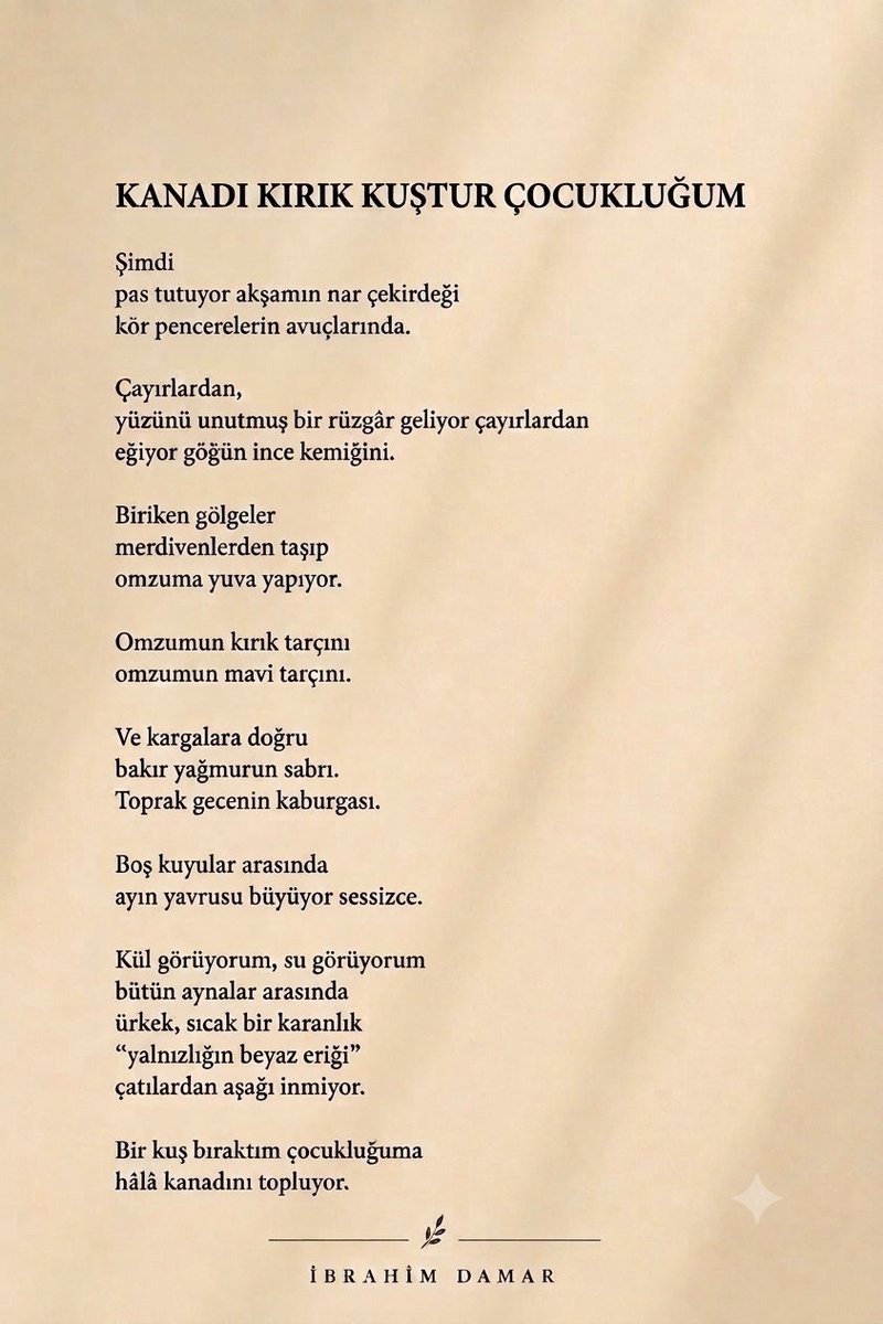 brahimDamar4's tweet photo. "Bir kuş bıraktım çocukluğuma
hâlâ kanadını topluyor." https://t.co/c5wLDNDOYl