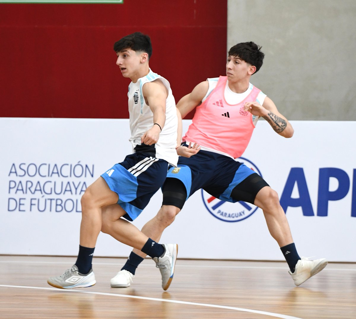 Argentina's tweet photo. #Futsal La Selección Argentina #Sub17 está lista para afrontar el Sudamericano en Asunción.

💪 Sesión en el Complejo SUMA de Conmebol, en la previa del primer partido 🆚 Ecuador 🇪🇨

📰 https://t.co/1cSfl9hekK https://t.co/bGJLBHmSjX