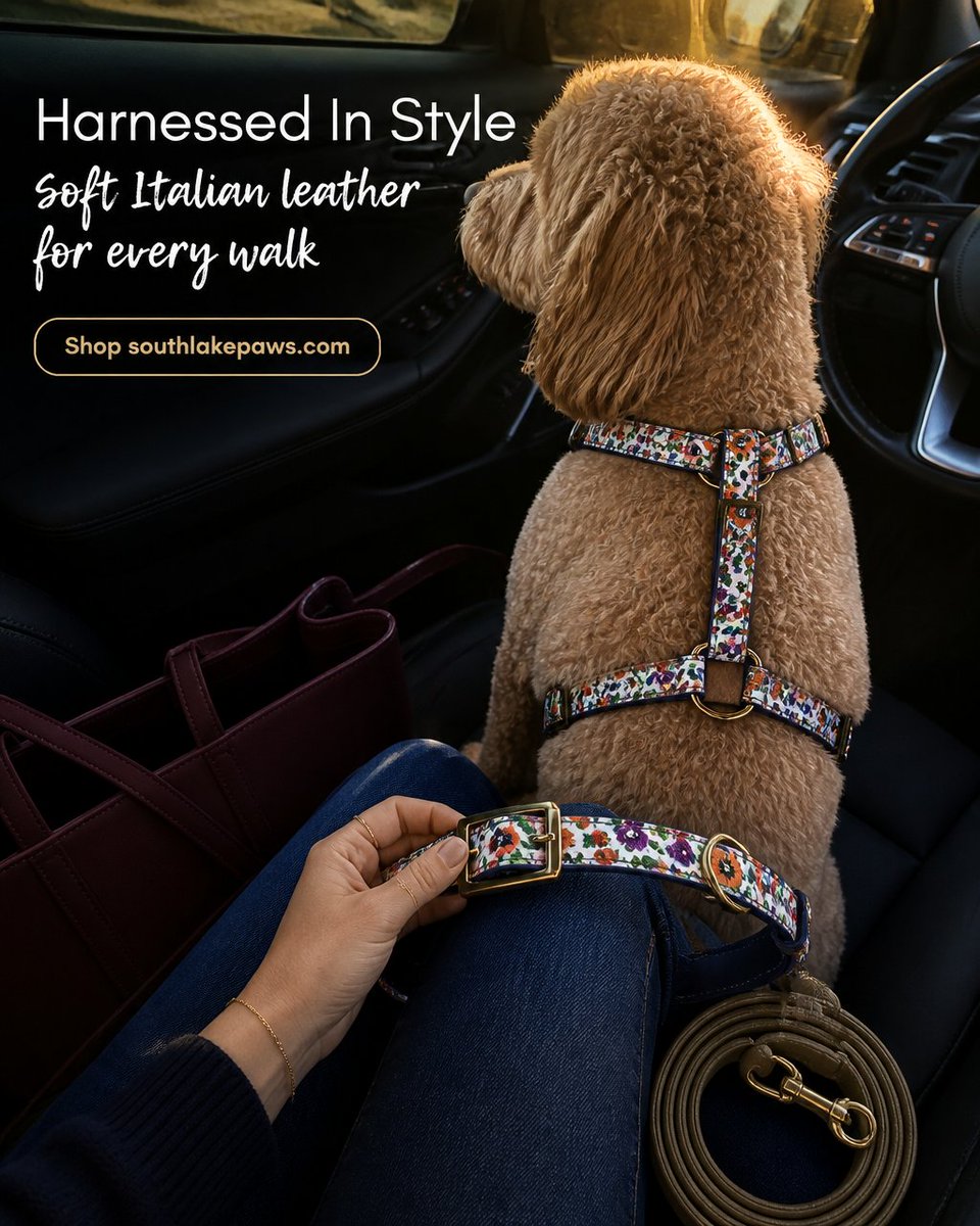 SouthlakePaws's tweet photo. Meet the Poppy &amp; Pansy Italian leather harness — luxe walks are here! 🐾✨ Ready to turn every stroll into a celebration? Who’s in?! #PetFashion #DogsOfInstagram Tap the link in bio. https://t.co/rMelMJR1IS