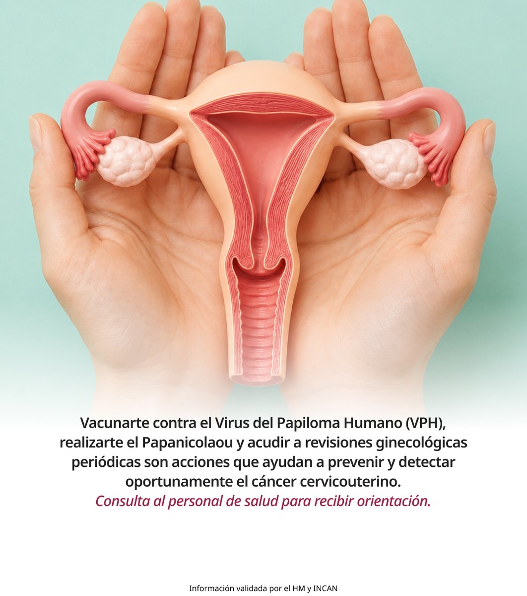 SSalud_mx's tweet photo. Agosto | Mes de la Sensibilización sobre el Cáncer de Cuello Cervicouterino

El cáncer cervicouterino puede prevenirse y detectarse de manera oportuna mediante revisiones ginecológicas periódicas y hábitos saludables.

Acude a tu unidad de salud para recibir orientación, realizarte los estudios correspondientes y contribuir a la detección temprana de cualquier alteración.🩺

La prevención es una de las mejores herramientas para proteger tu salud. 💗