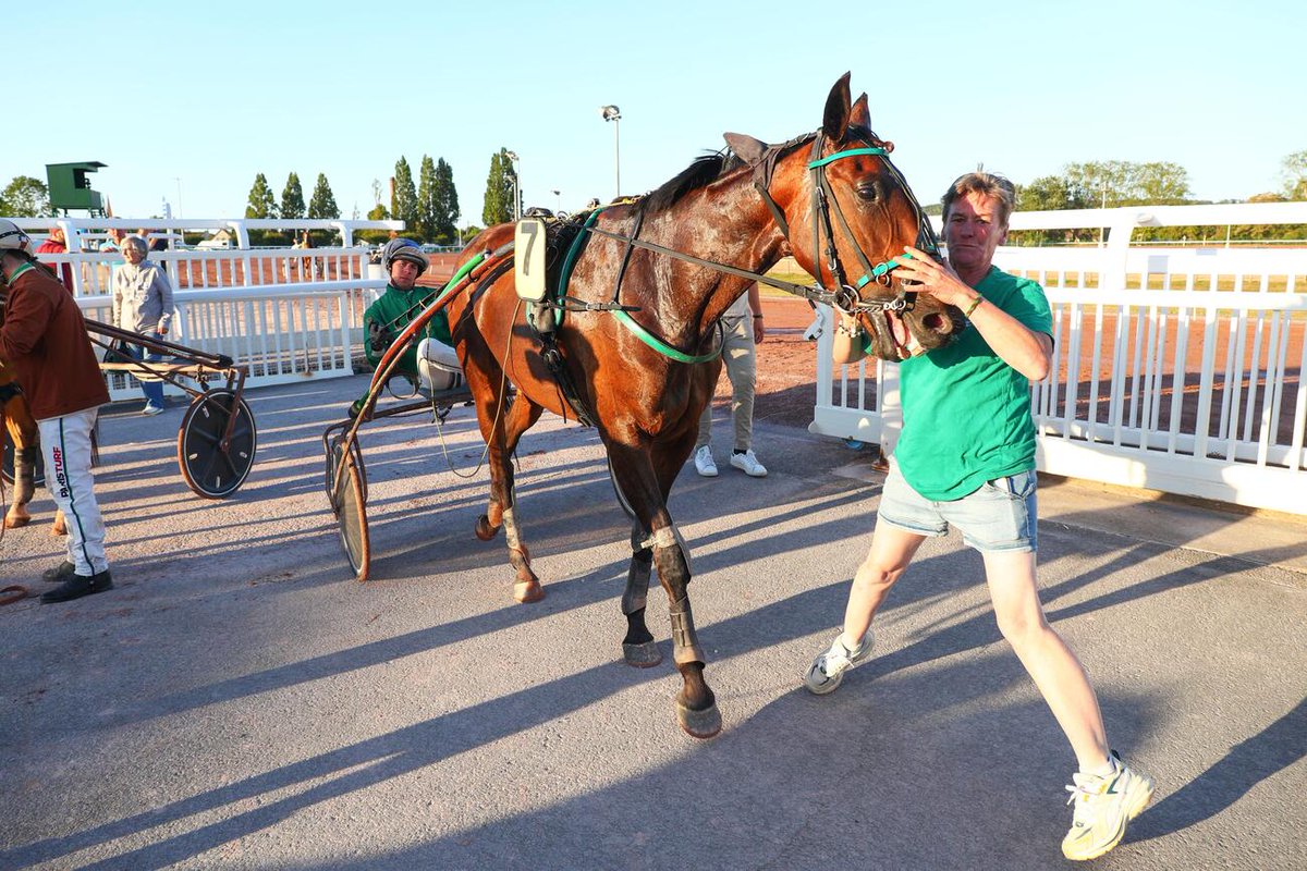 canalturf's tweet photo. 🏁Arrivée Quinté+ #pmu Prix Bruno Coquatrix à Cabourg le 07/08/2026
🥇JAZERANE (7) ou la victoire d'un outsider 
▶️https://t.co/VAmJW89qd8 @LeTrot #resultatspmu #rapportspmu #hippodromecabourg