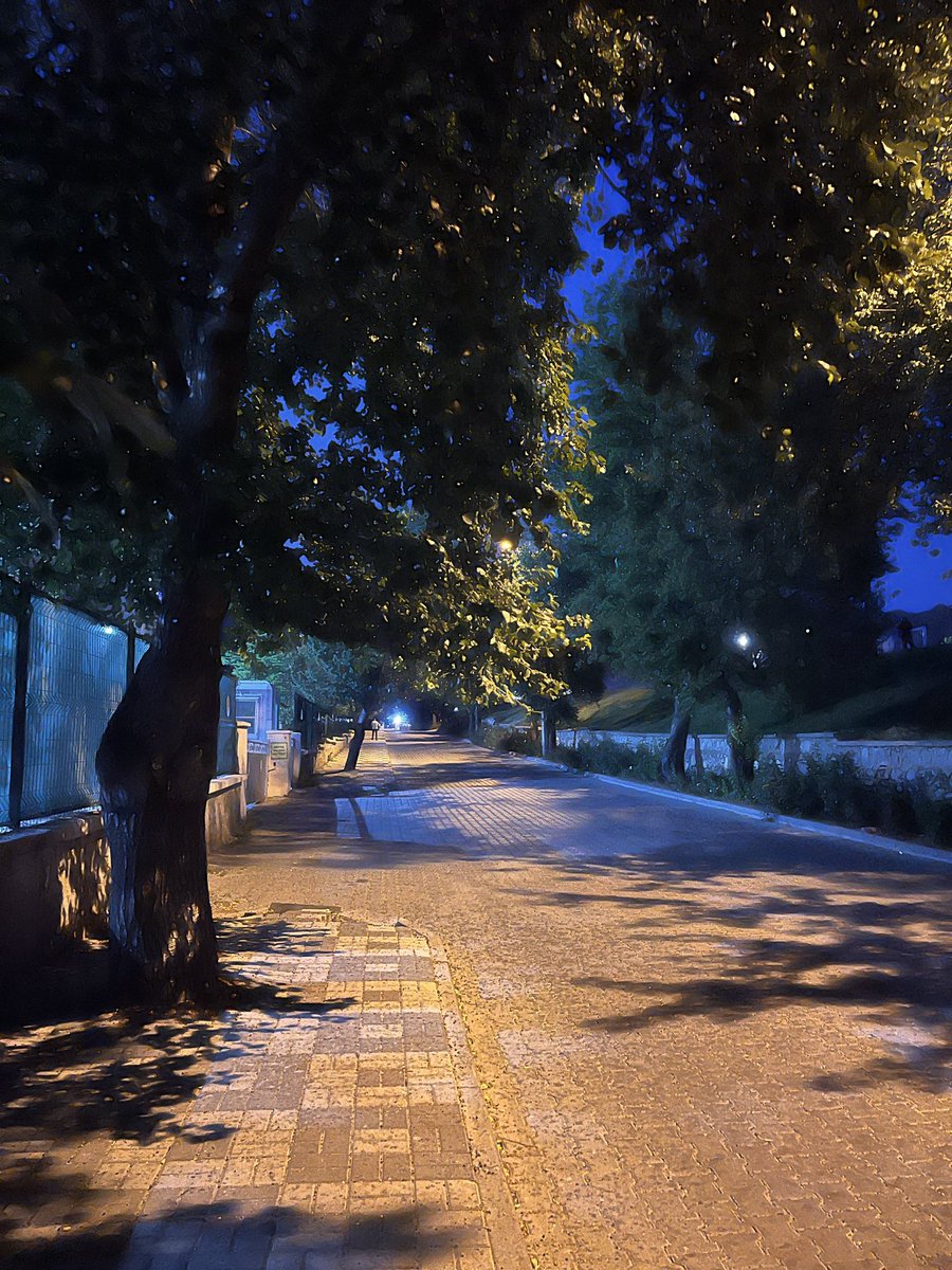 Zeynpates0's tweet photo. Müzik,temiz hava,yürüyüş…✅ https://t.co/MhV0YScQtn
