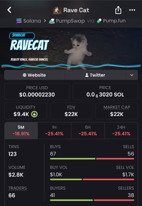 Lalonde01's tweet photo. $RAVECAT exploded from a $22K market cap to $608K ππ₯ an incredible 2,664% gain! Explosive momentum, relentless buying pressure, and another low-cap gem delivering massive returns. ππ₯ The next monster breakout could already be waiting in my TG be early, not late. π₯·π #RAVECAT #Crypto #Memecoin #Altcoins #100xGem Ca::mNzssXQ9hU1ASJ1CVuu4JjrFBrfeVdR2JzirKS3pump