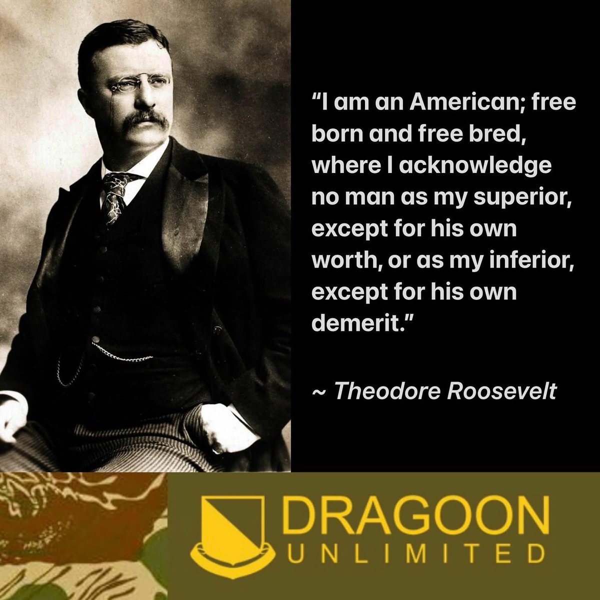 DragoonUNLT's tweet photo. “I am an American; free born and free bred, where I acknowledge no man as my superior, except for his own worth, or as my inferior, except for his own demerit.”
~ Theodore Roosevelt
#dragoonunlimited #PatrioticSpirit #FreedomToBeMe #IndependentPatriot #ProudAndFree #USA https://t.co/VLeiDe1AlG