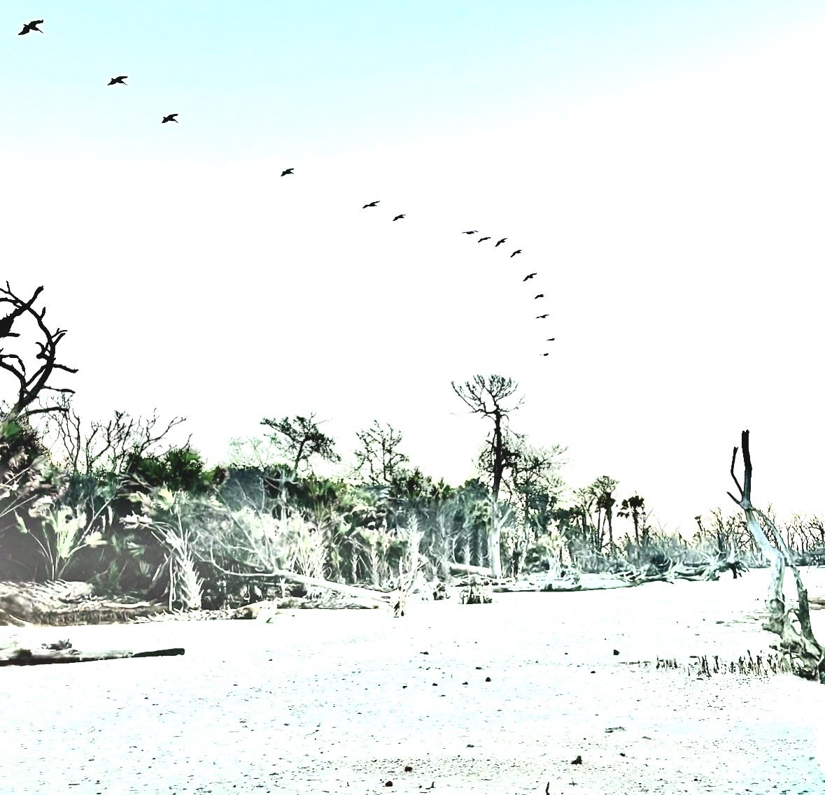VelvetLensjbs's tweet photo. Written in Wings
#ArtPhotography #Photography #Nature https://t.co/mEz9CY9NsG