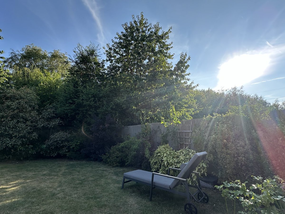 MunchPudding's tweet photo. It’s a lovely evening for #Hedgewatch I’ve had my #FishyFriday 🐟 and now it’s time for pawtrol 🐾 😺🌿 https://t.co/LZf0fuWEfT