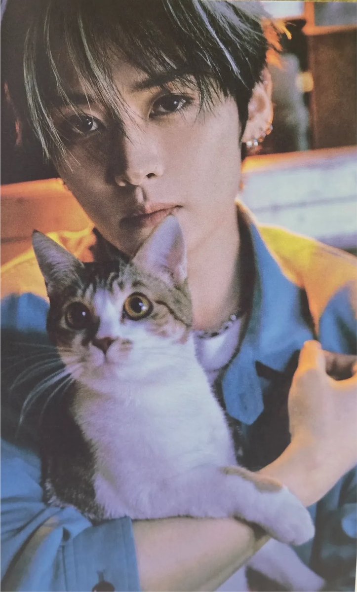 shoyoskz's tweet photo. lee know with the cat. two kittens in one photo https://t.co/8zIw3ucNZa