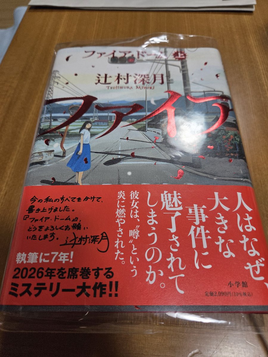 akonosukehyp's tweet photo. 読んでおりまする。今100ページとちょっとなんだけど、恐ろしい人間出てきて、流石辻村深月さん……ってなってる🥹
これ、上で450ページくらいあるんですよね……。 https://t.co/RdDhMcPI4c