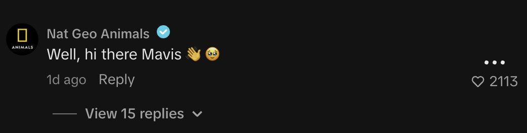 0xrxsty's tweet photo. MAVIS is the cutest, a tiktoker Alexis adopted a jumping spider called $Mavis

Mavis is helping cure the arachnophobia a little at a time and the rest of the comments are loving the unique spider

EVEN NAT GEO commented on her and people are getting over the fears https://t.co/qFJFvZuY7i

OVER 7m views in a day and her whole page is now become a spot for her spider

https://t.co/X4yczUlnhS

over a million views in the last day alone and getting interactions with big brands in the comments