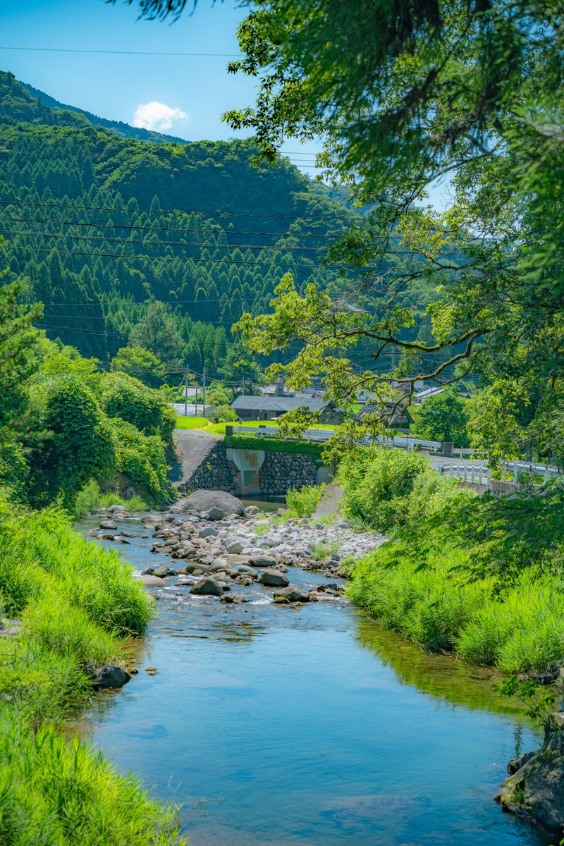 creamsoda_sea's tweet photo. 1人で移住した町の夏をお届けします。 https://t.co/8Gl0A7UILw