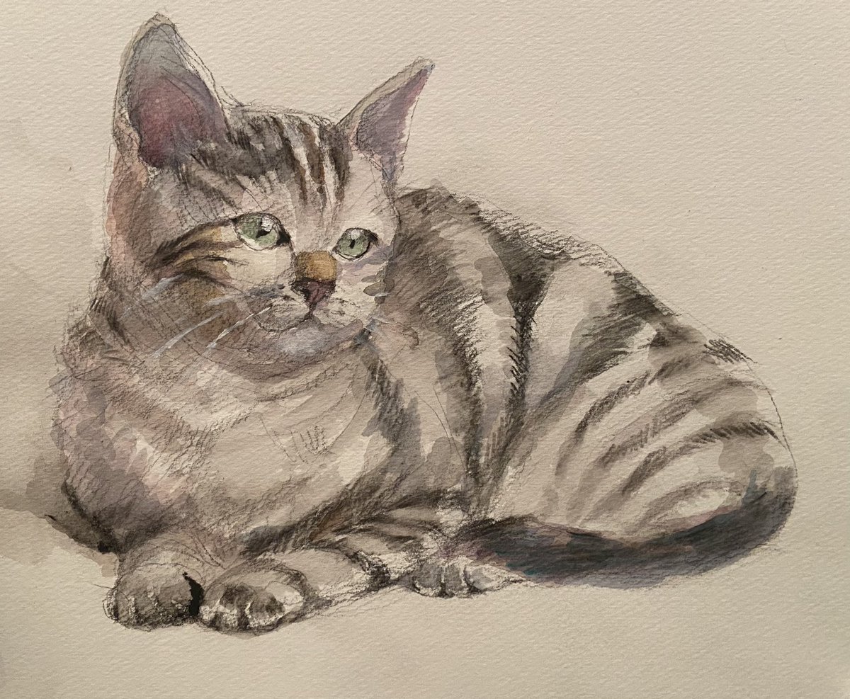 猫を水彩色鉛筆とアクリル絵の具で描きました。
