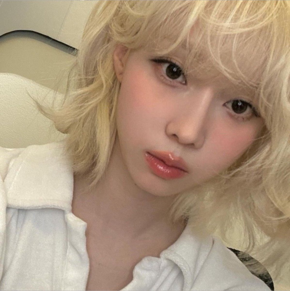 fa4ryji's tweet photo. two blonde cutiepies 👼 https://t.co/5NABFtCiQd