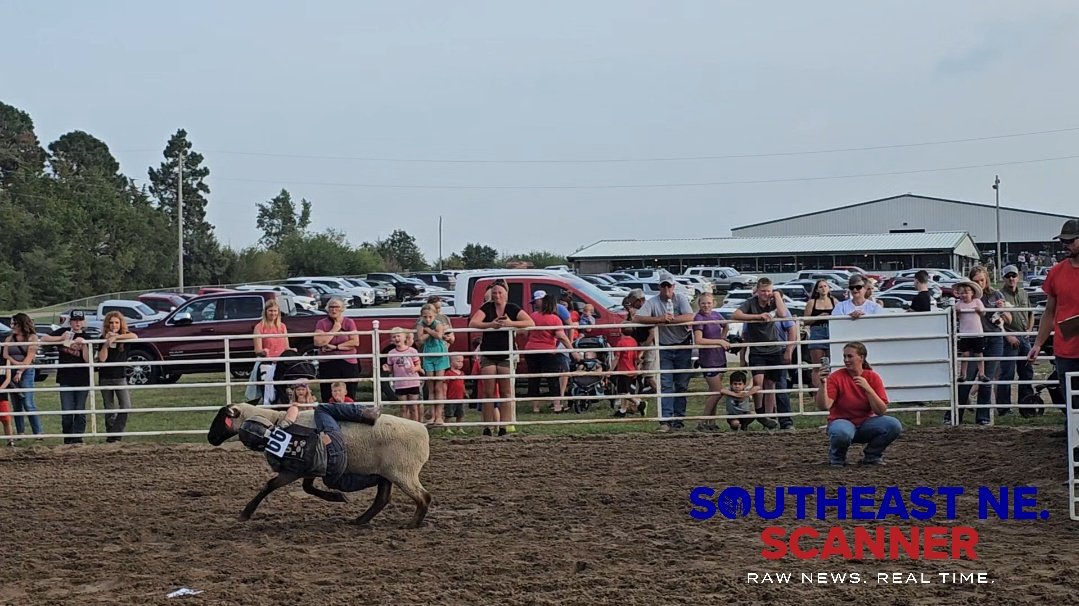 SENEScanner's tweet photo. Future rodeo stars in the making!

#BaaToTheBone #TinyButTough #CassCoFair2026 #SENEScanner https://t.co/IEL11imPz2