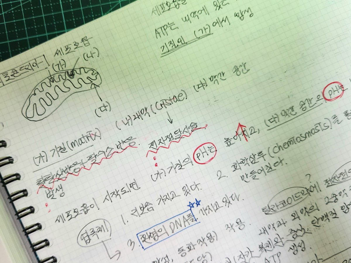 edajohc2N's tweet photo. #studytwt #study #공부계 #공부
- 빵꾸가 너무 많은데 어떡해
(메우면 그만이야~)

- 오늘 너무 더워서 운동 안 가려다가 눈 질끈 감고 나가서 뛰었어요. 기분이 좋아요!!

내일은 토요일이니까 좀만 더 메꾸고 자겠습니다!!(^^)d https://t.co/34EqgMXd3L