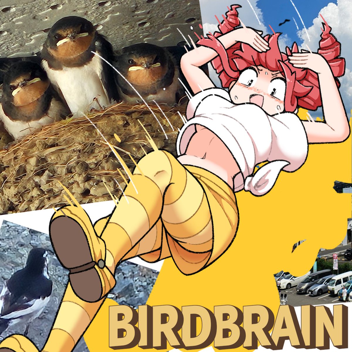 T_masoppu's tweet photo. 𝔹𝕀ℝ𝔻𝔹ℝ𝔸𝕀ℕと近所の鳥。 https://t.co/Axqtx8NvfI