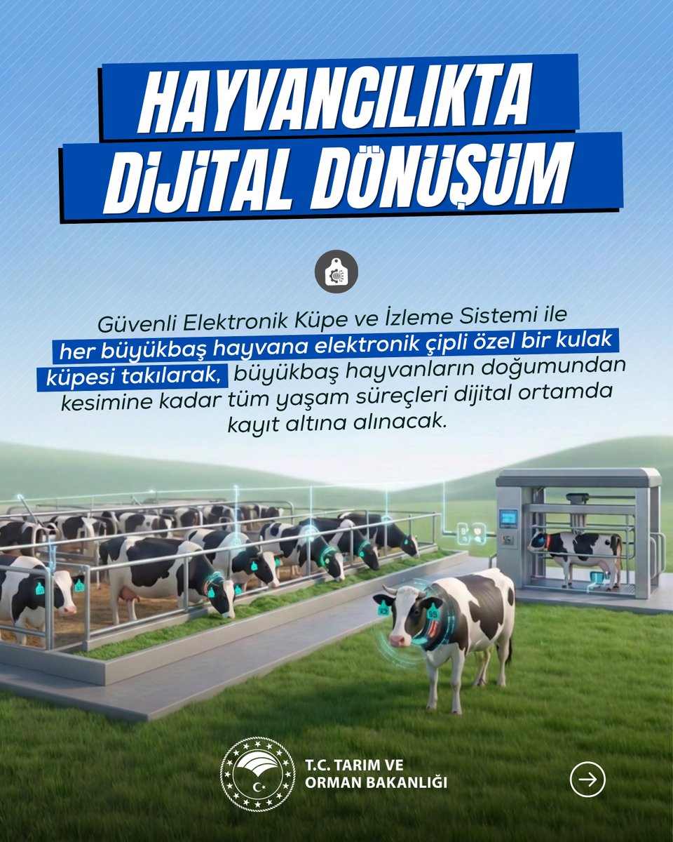 TCTarim's tweet photo. Hayvancılıkta yerli teknolojiyle yeni bir dönemi başlatıyoruz. 🇹🇷📲

🐄 Savunma Sanayii Başkanlığı ile birlikte geliştirdiğimiz Güvenli Elektronik Küpe ve İzleme Sistemi (GEKİS) sayesinde büyükbaş hayvanlarımızı doğum anından itibaren dijital takibe alıyoruz. 

Tarımda ve hayvancılıkta teknolojinin tüm imkânlarını üreticimizin hizmetine sunmaya devam edeceğiz.