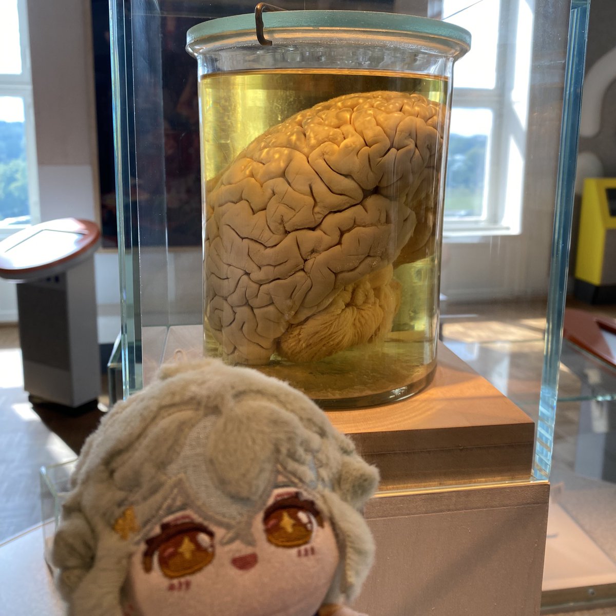 virtualcirkus's tweet photo. i showed sucrose the horrors today 🩷 https://t.co/00linccO33