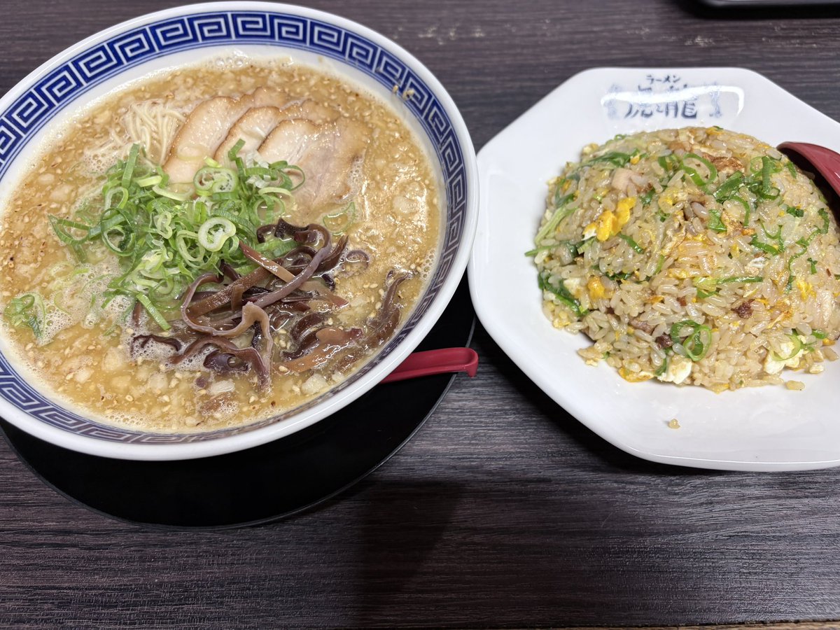 hissyosaka's tweet photo. 今日の一杯（ラーメン）

龍と虎日本橋店　白龍とんこつラーメンと炒飯のセット　ストレート細麺で博多の屋台の味を思い出した🤔

また、いタイめに遭ったロシアンのはずかタイ系韓���人😥

それにしても文楽劇場らへんは住みついた外国人の人種のサラダボウルやな https://t.co/wtjhk8SXp7