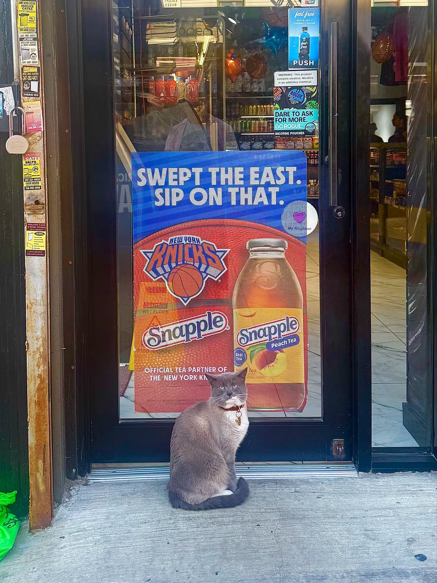 Bodegacats_'s tweet photo. https://t.co/AEeLX7DRTr
